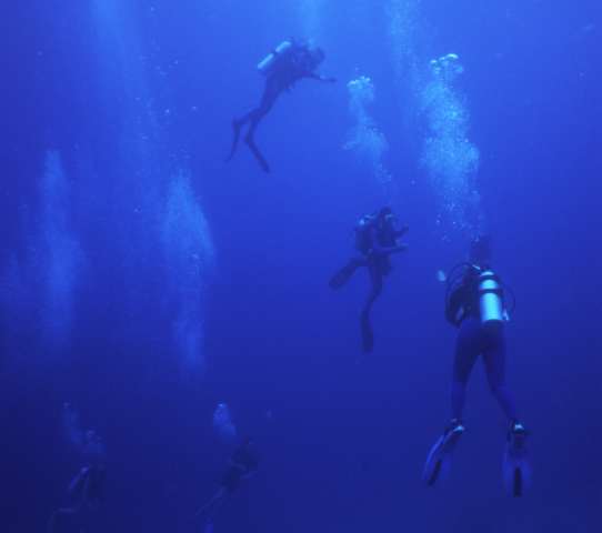 ../Images/fd-7.jpg